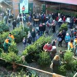 Weihnachtsbaumverkauf auf Hof Wulf
