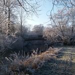 Martin Flügge  Winter Skulpturenpfad Brücke Hohenbostel 2