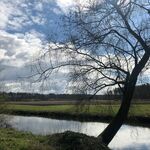 Wichmannsburg 5