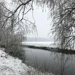 Wichmannsburg 4