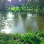 B. Voss: Fluss