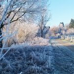 M. Fluegge: Winter Skulpturenpfad Ilmenauwiese