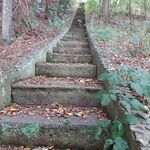 Wichmannsburg 10