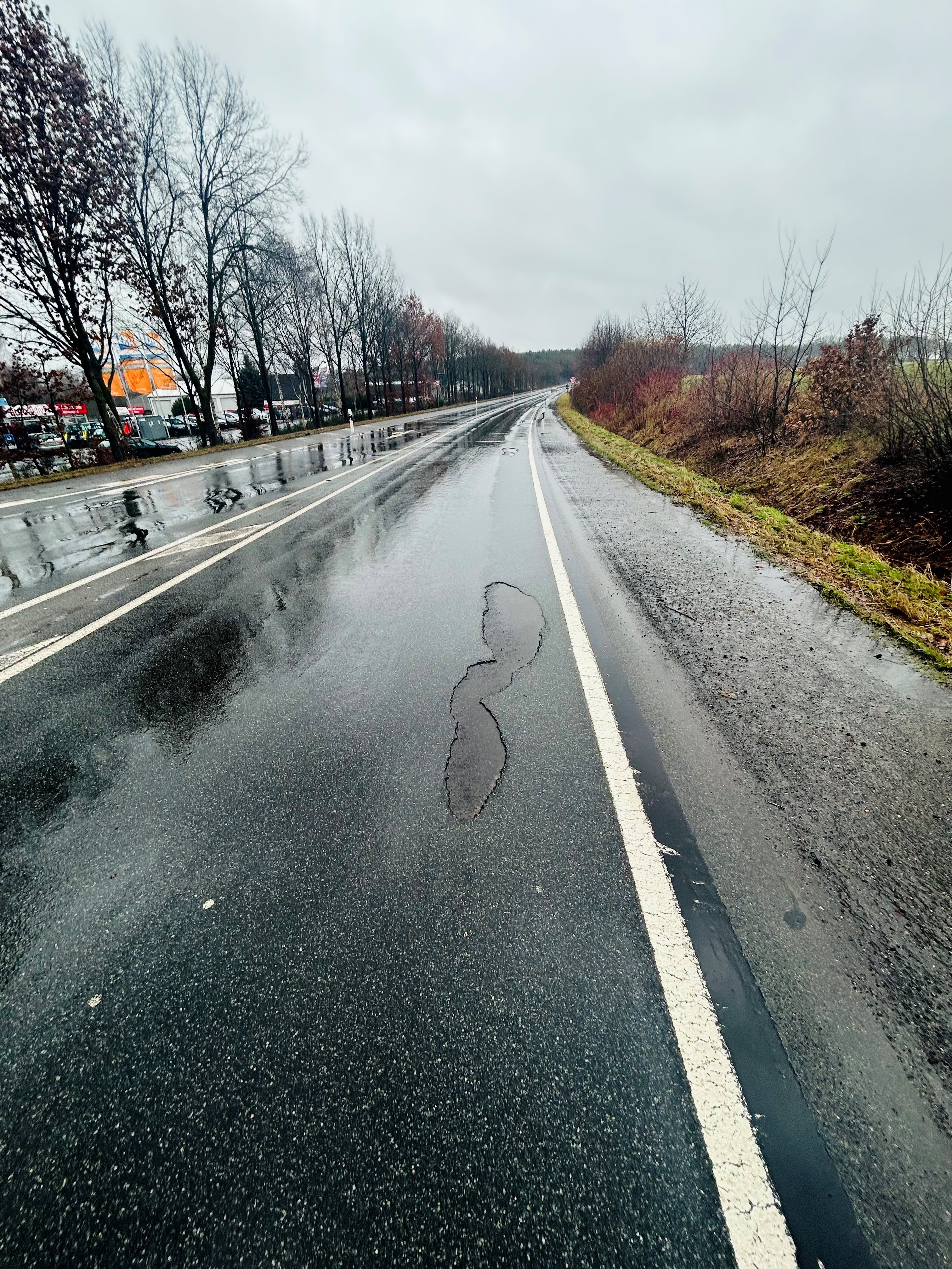 Winterschäden B 4