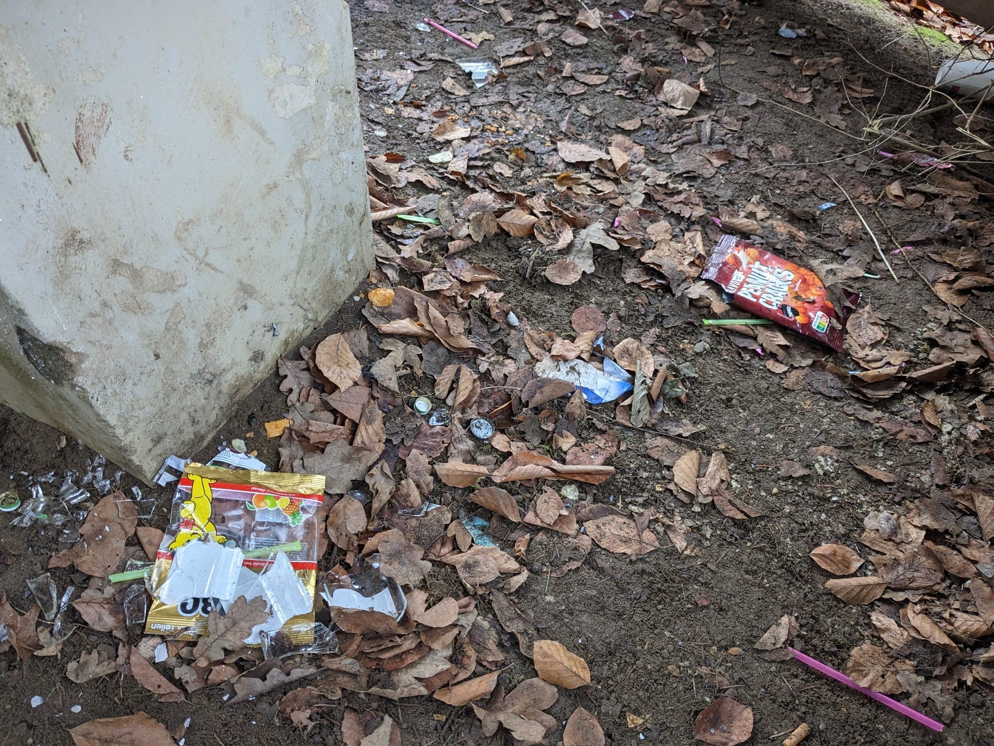 Vandalismus an Bienenbütteler Grillhütte