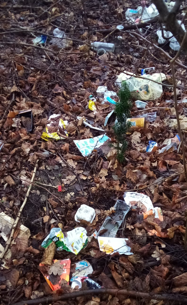 Müll im Wald